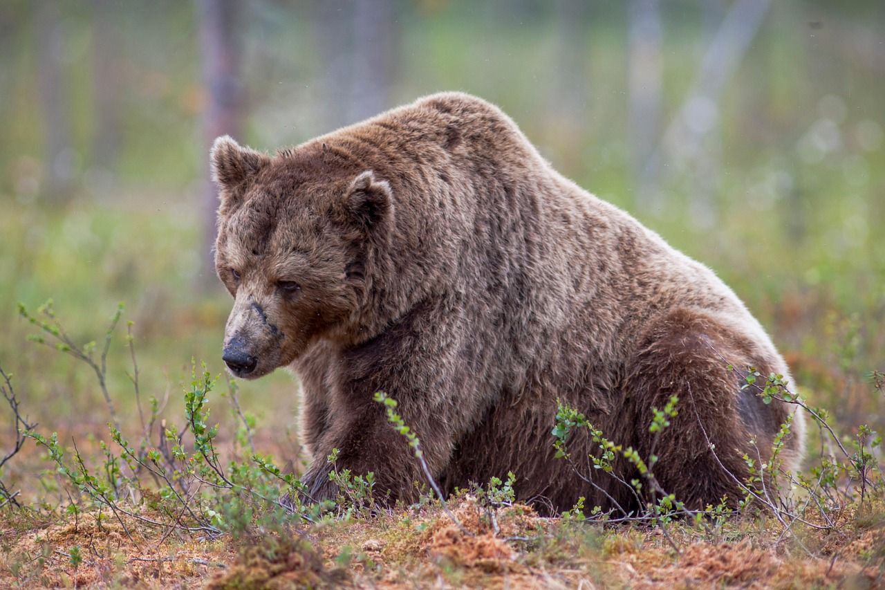 전략: 약세장 바겐헌팅? MSTR에 연동된 2배 숏 ETF, 사상 최저치에서 수백만 달러 유입