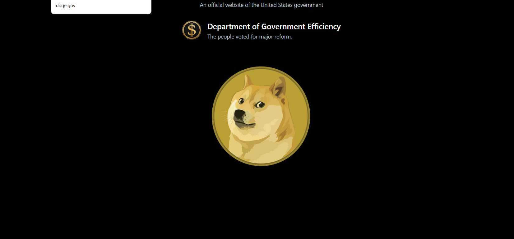 Elon Musk DOGE News: Dogecoin Logo Features on Site After Trump Inauguration