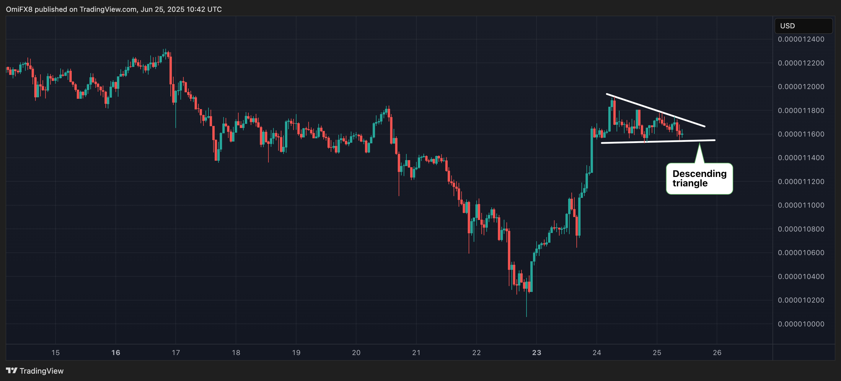 SHIB's hourly price chart. (TradingView/CoinDesk)