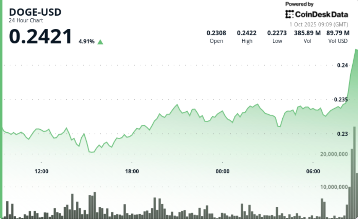 What Next as Dogecoin (DOGE) Zooms 6% on Bitcoin (BTC) Surge Higher