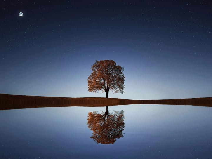 Bitcoin supera bolsa da Coreia do Sul em estabilidade durante crise geopolítica