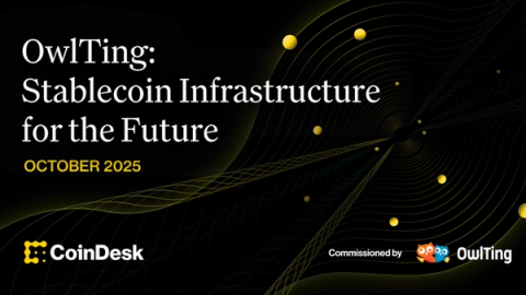 OwlTing: Stablecoin Infrastructure for the Future