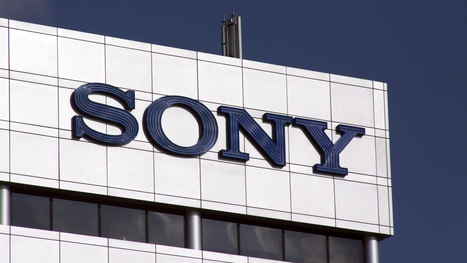 Sony to Restart Japanese Crypto Exchange Whalefin Purchased From Amber  Group in 2023