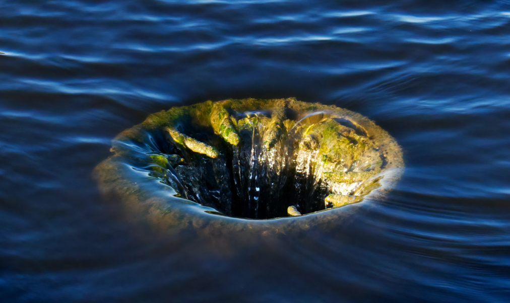 $4B Bitcoin ETF Outflows in Oct-Nov Reflect Basis Trade Unwind, Not Capitulation: Research Analyst