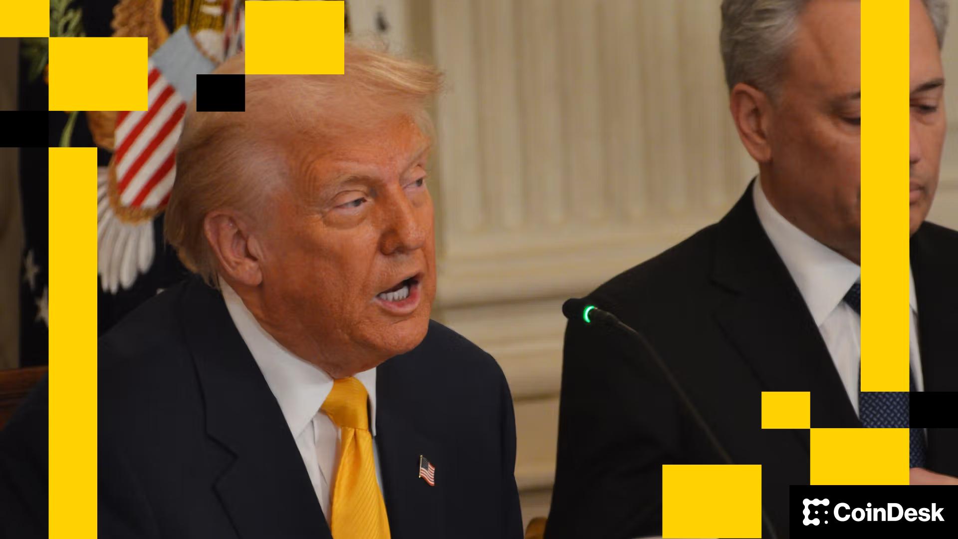 Since Trump's Election, Crypto Has Experienced a Wild Year-long Ride