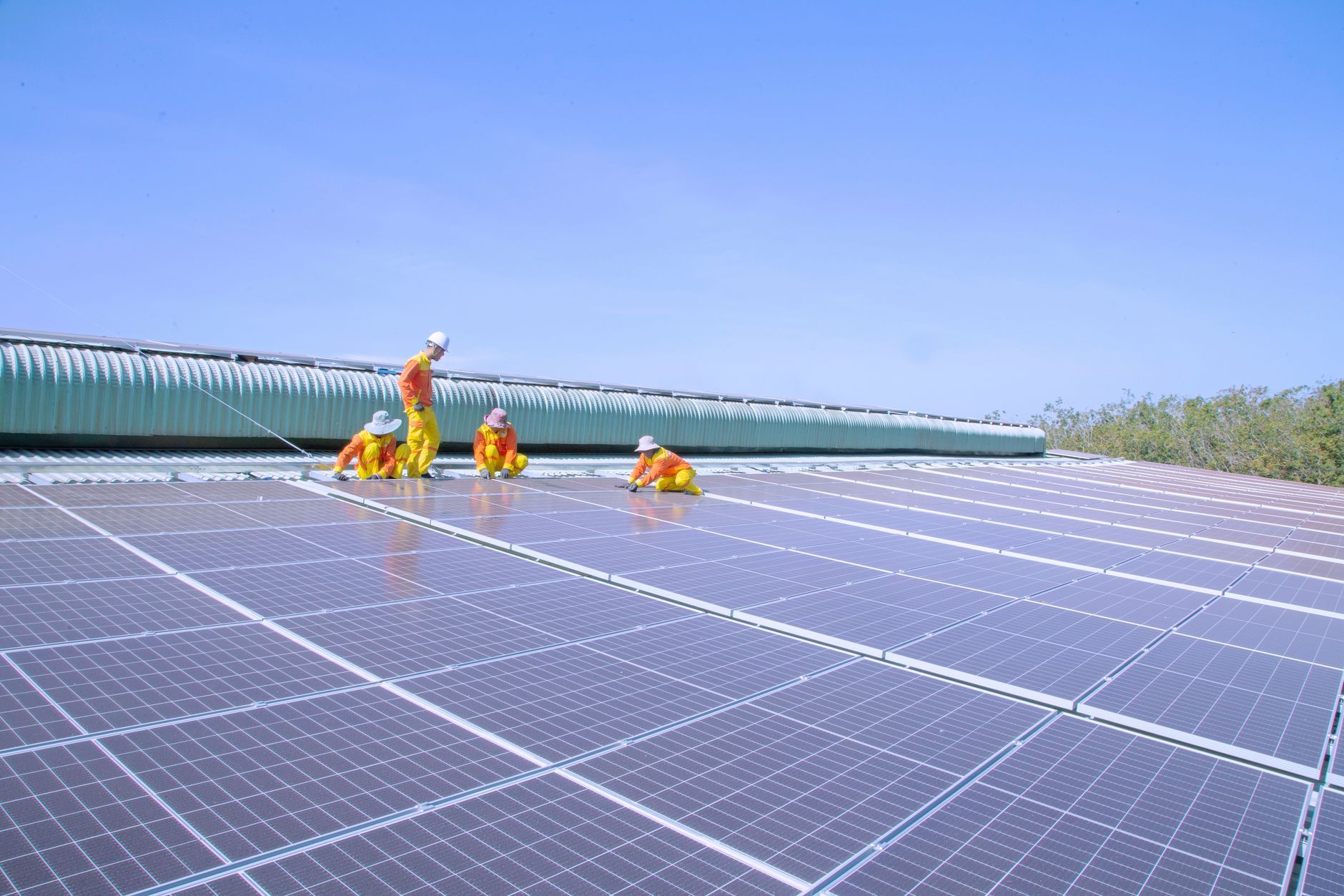 LED & Solar - Interview Guide