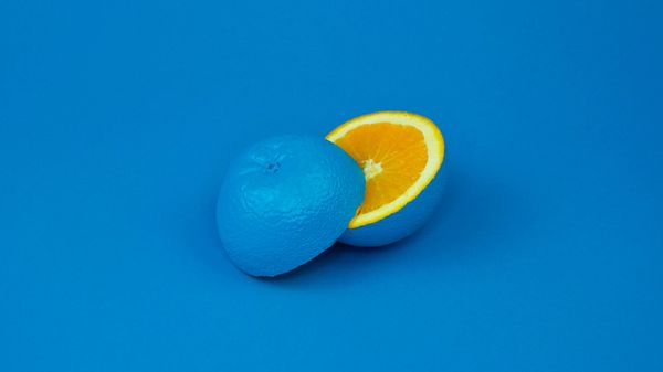 Orange fruit painted blue and sliced open, on a blue background.