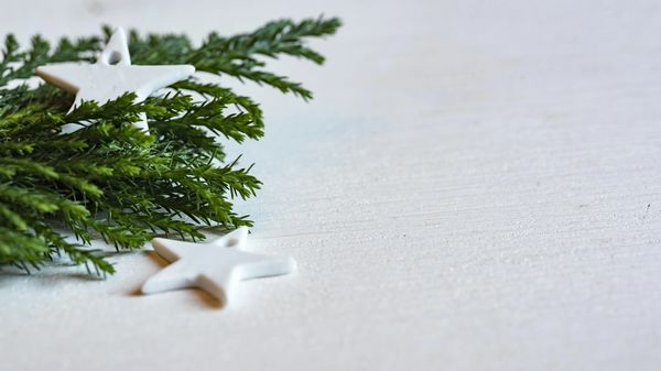 Christmas tree sprig and white star ornaments on a white background.