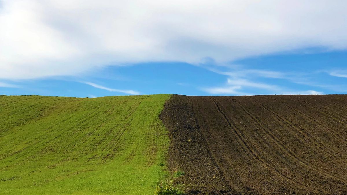 A grassy hill, half green and half brown, with a blue sky and white clouds in the background.