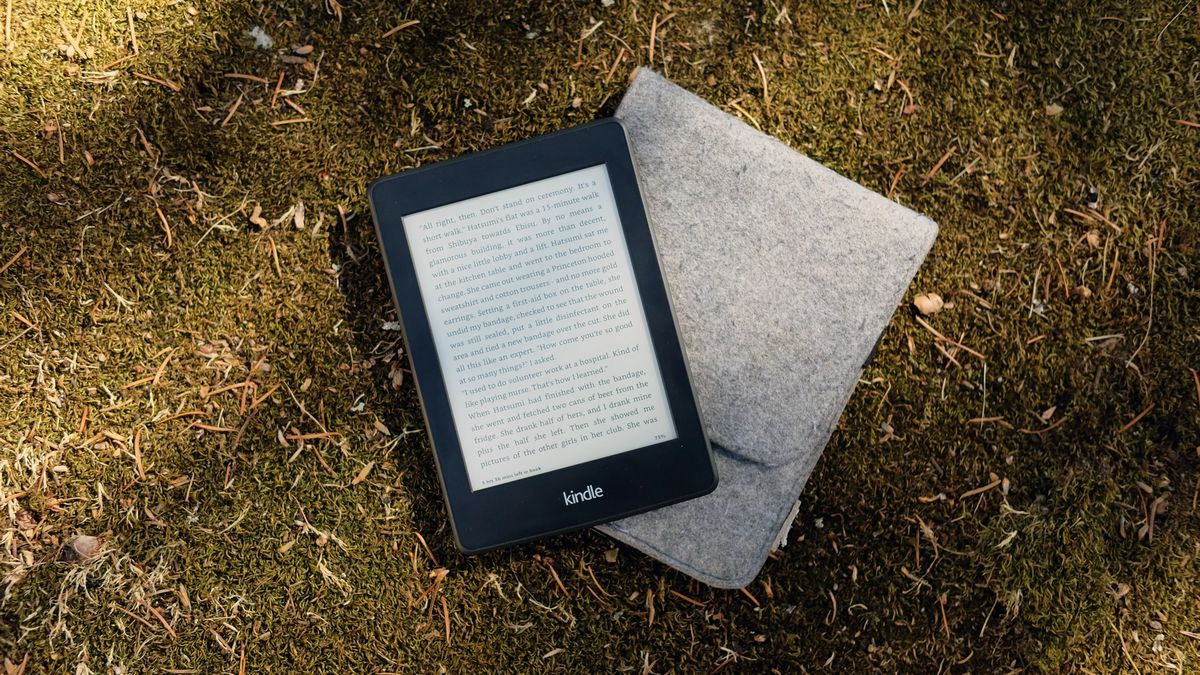 A Kindle e-reader and case on a grassy floor.