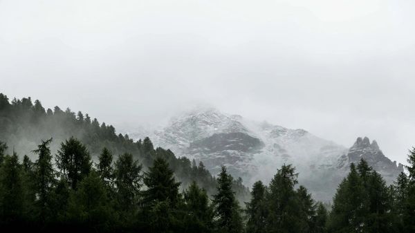 Trees and snowy mountain tops in a cloudy mist.