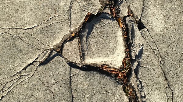 Close up of cracks in a pavement.
