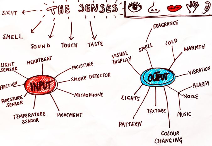 Senses mind map, including inputs and outputs.
