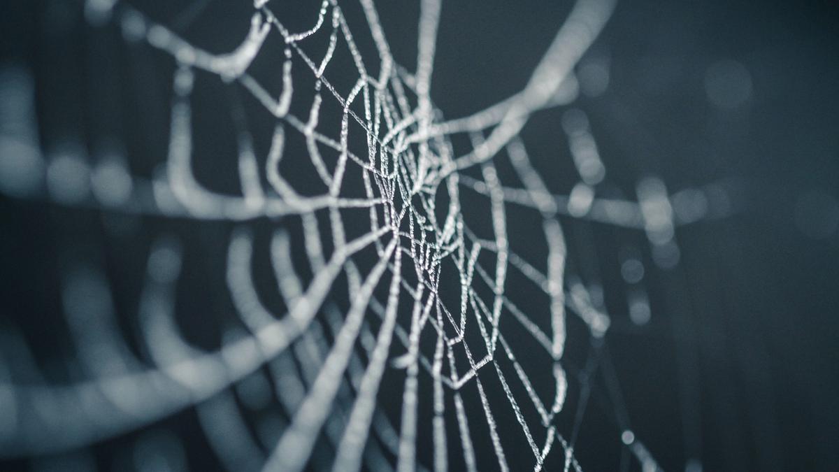 Close up of a spider's web.