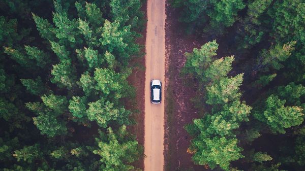 Aerial view of a car driving through a track in a heavily wooded area.
