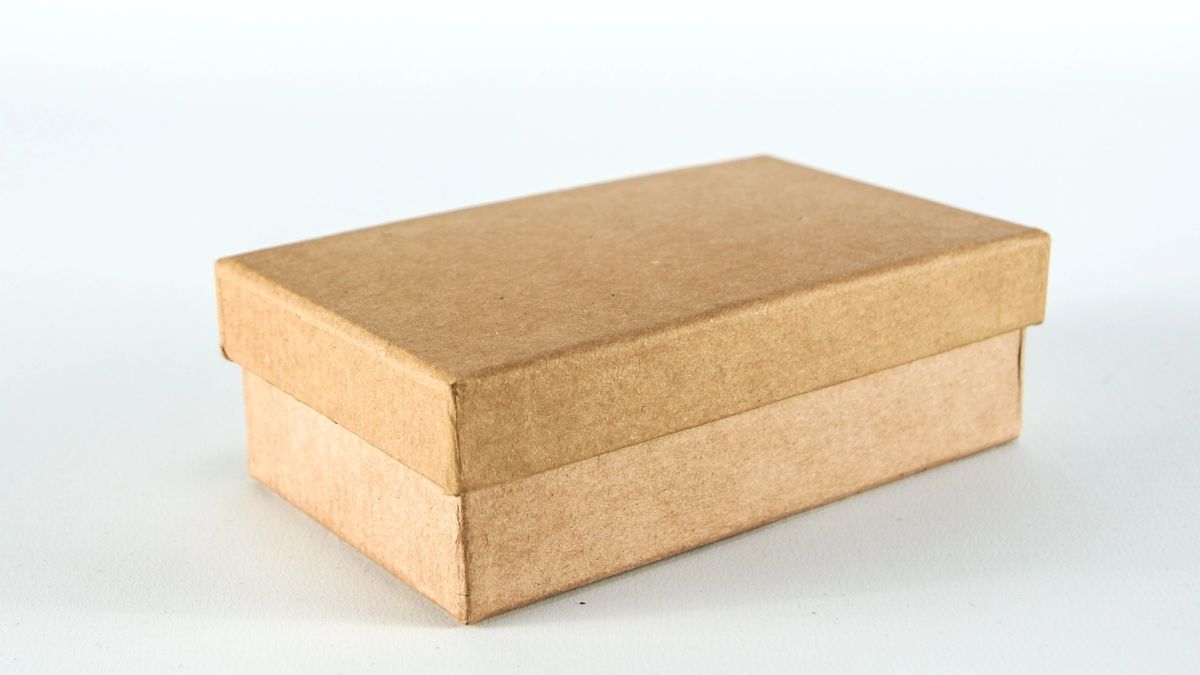 Brown cardboard box with closed lid, on a white background.