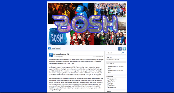 Screenshot of BOSH's previous website.