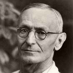Retrato de Herman Hesse