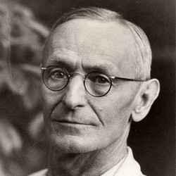 Retrato de Herman Hesse