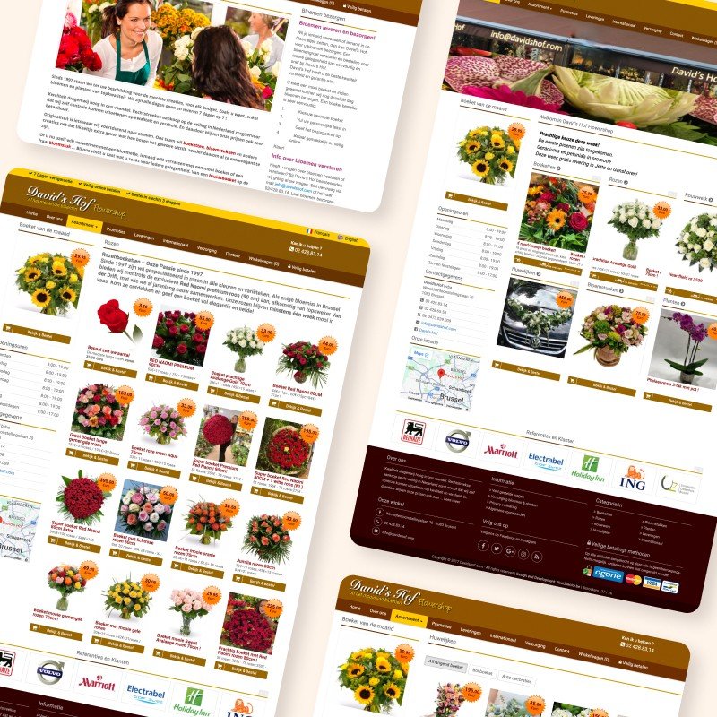 De oude webshop van David's Hof