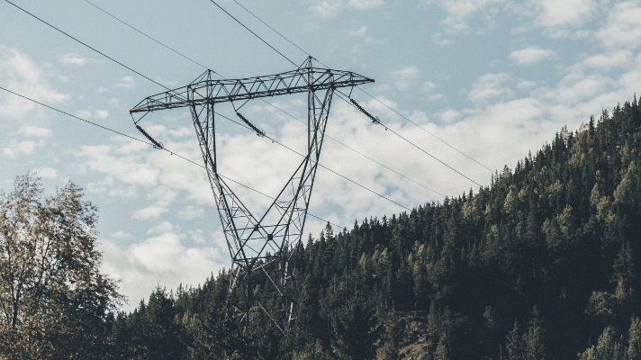 skog og elektriske ledninger