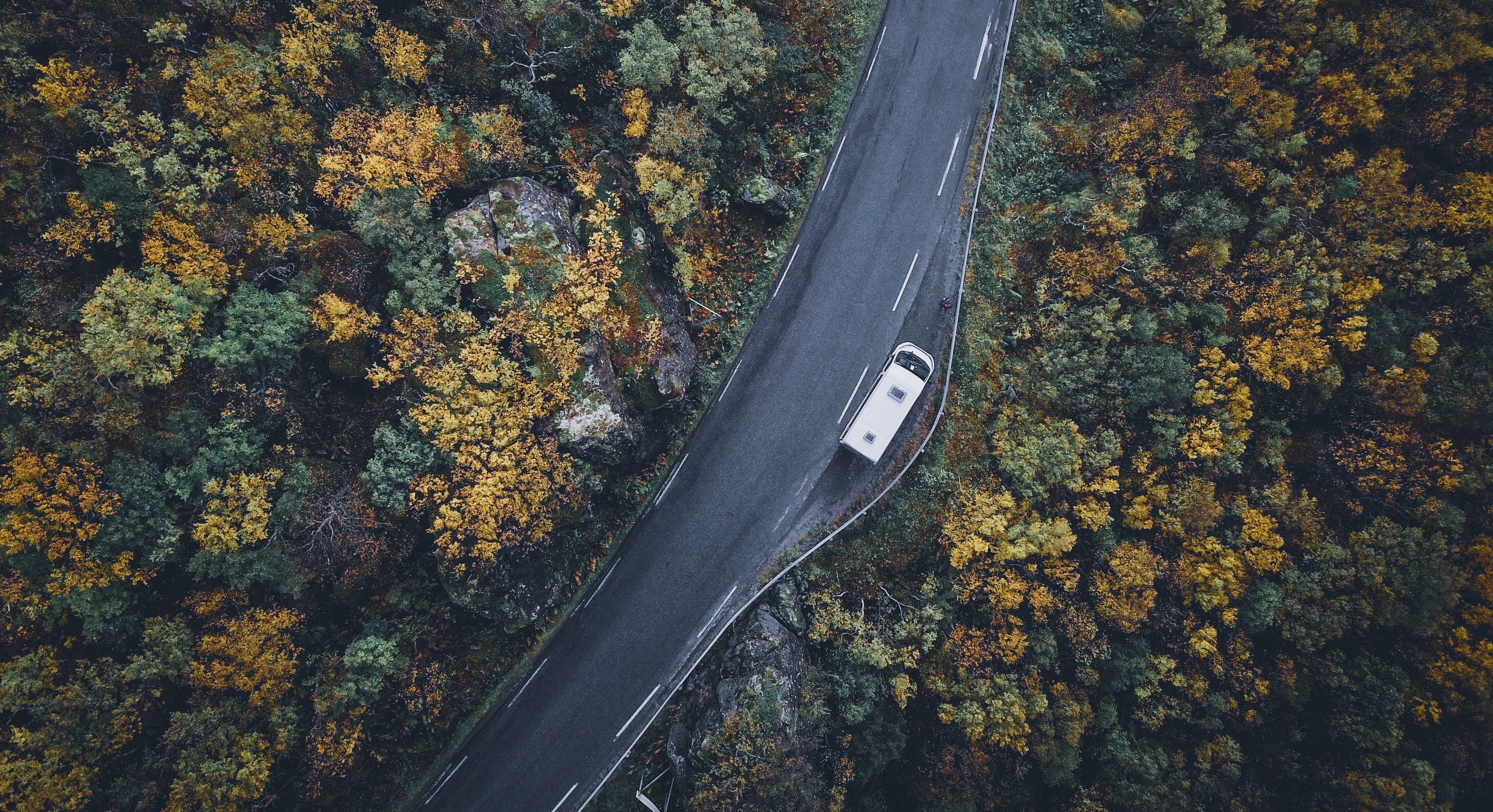 Bil venter på veien i en skog