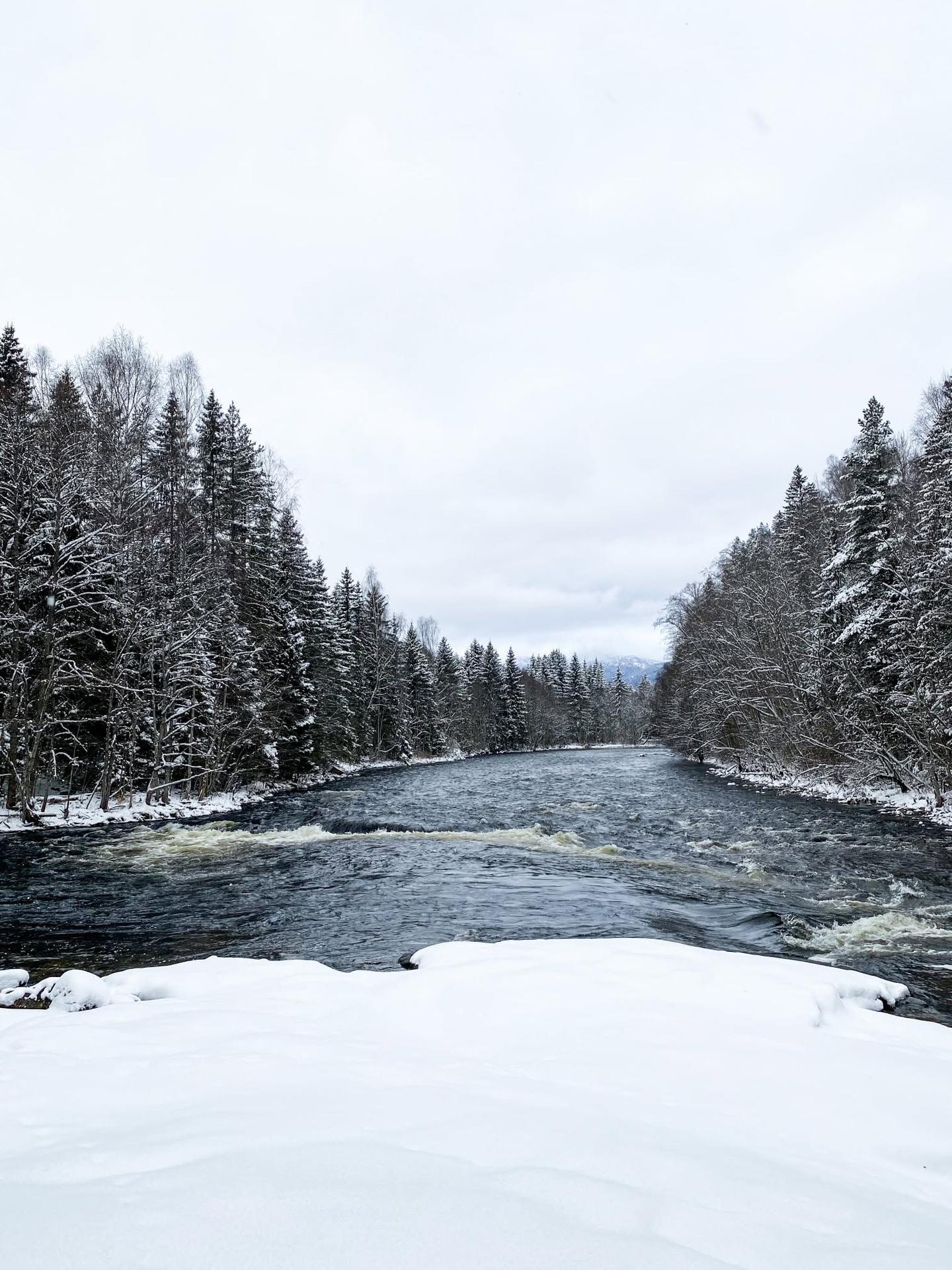 Snødekt vinterlandskap utenfor Bø Badstue
