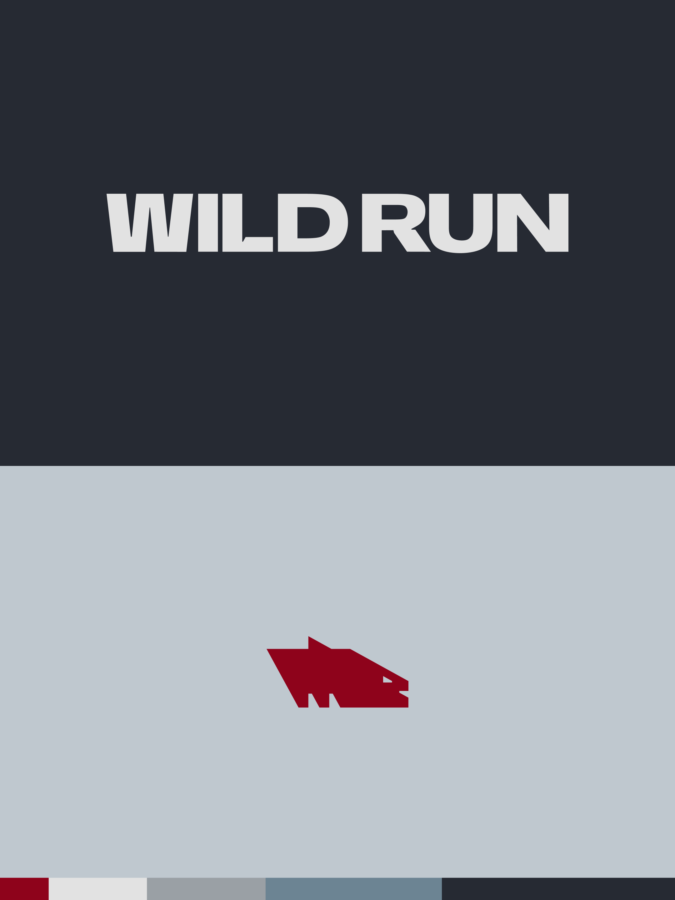 Wild Run logo and wordmark