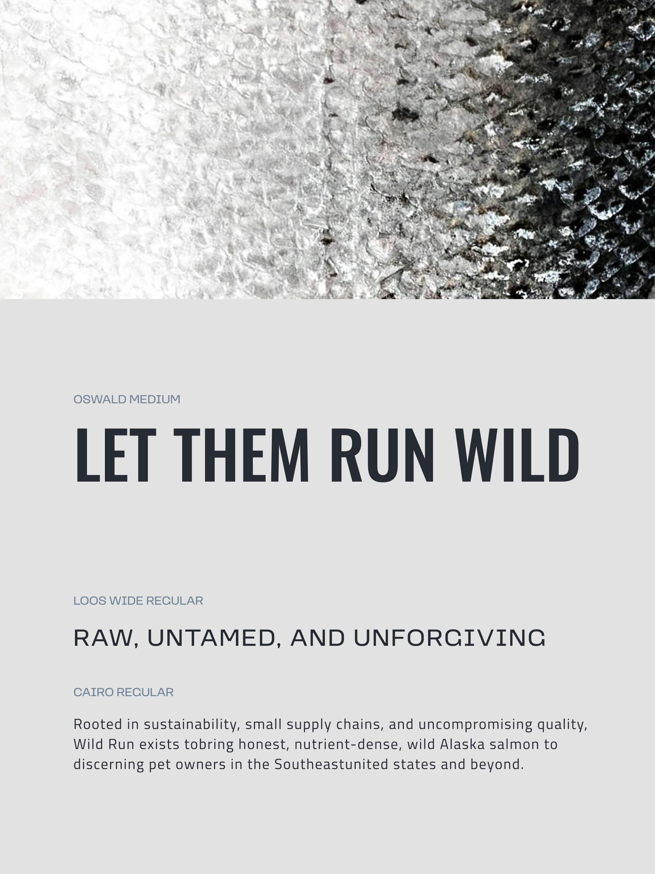 Wild Run typography
