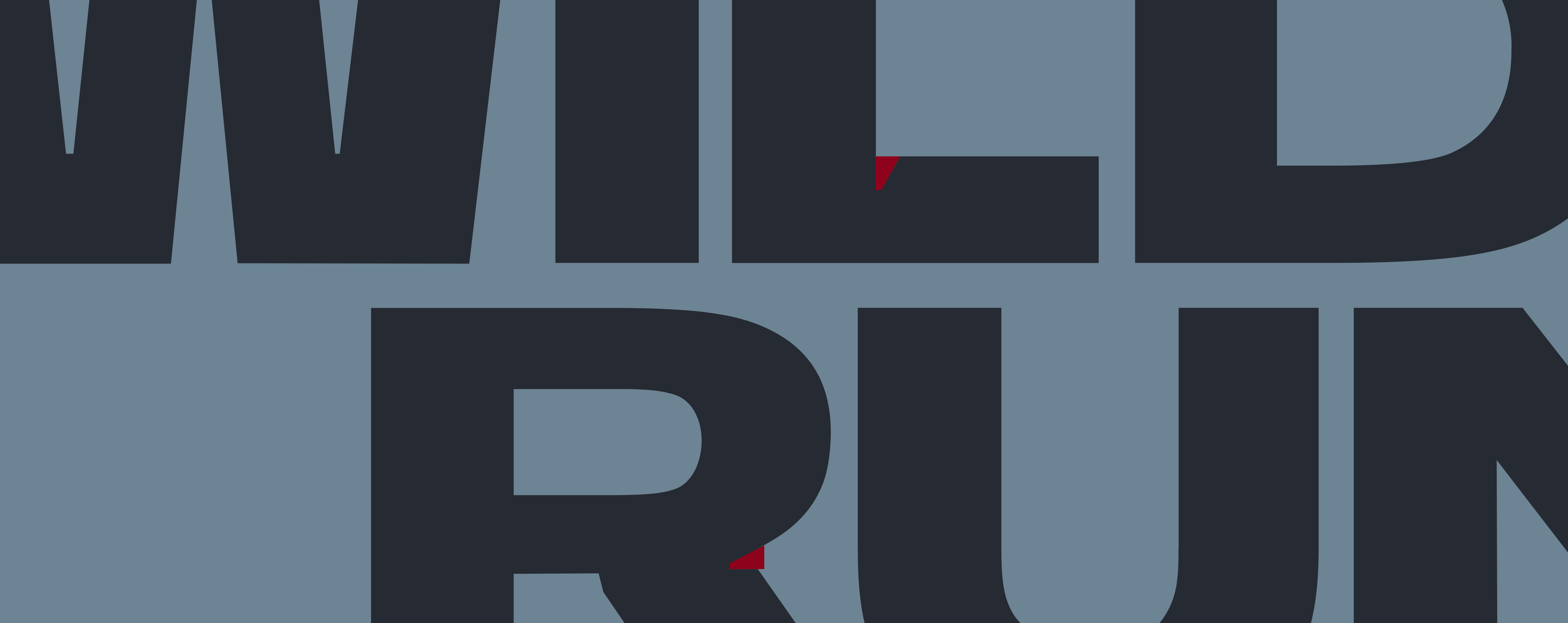 highlight of notch in Wild Run wordmark