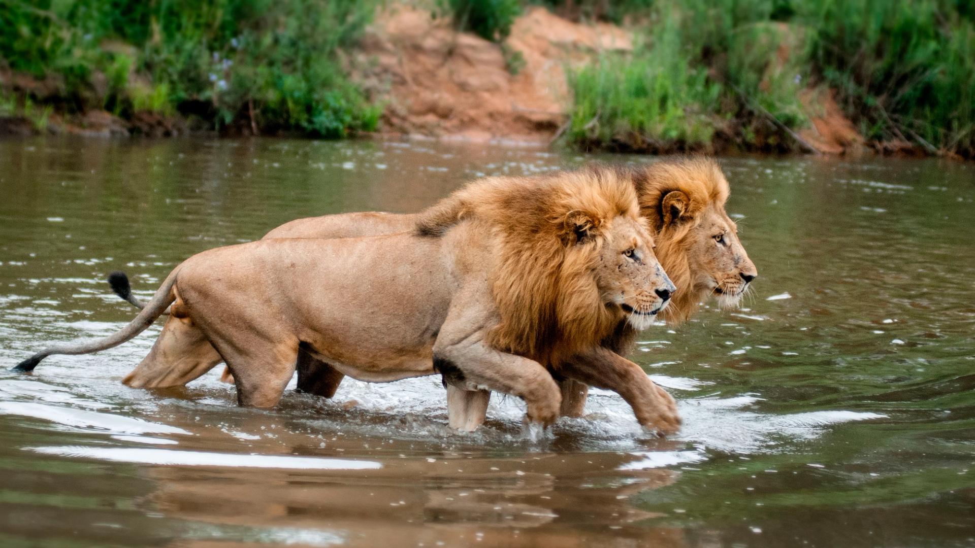 Kruger National Park