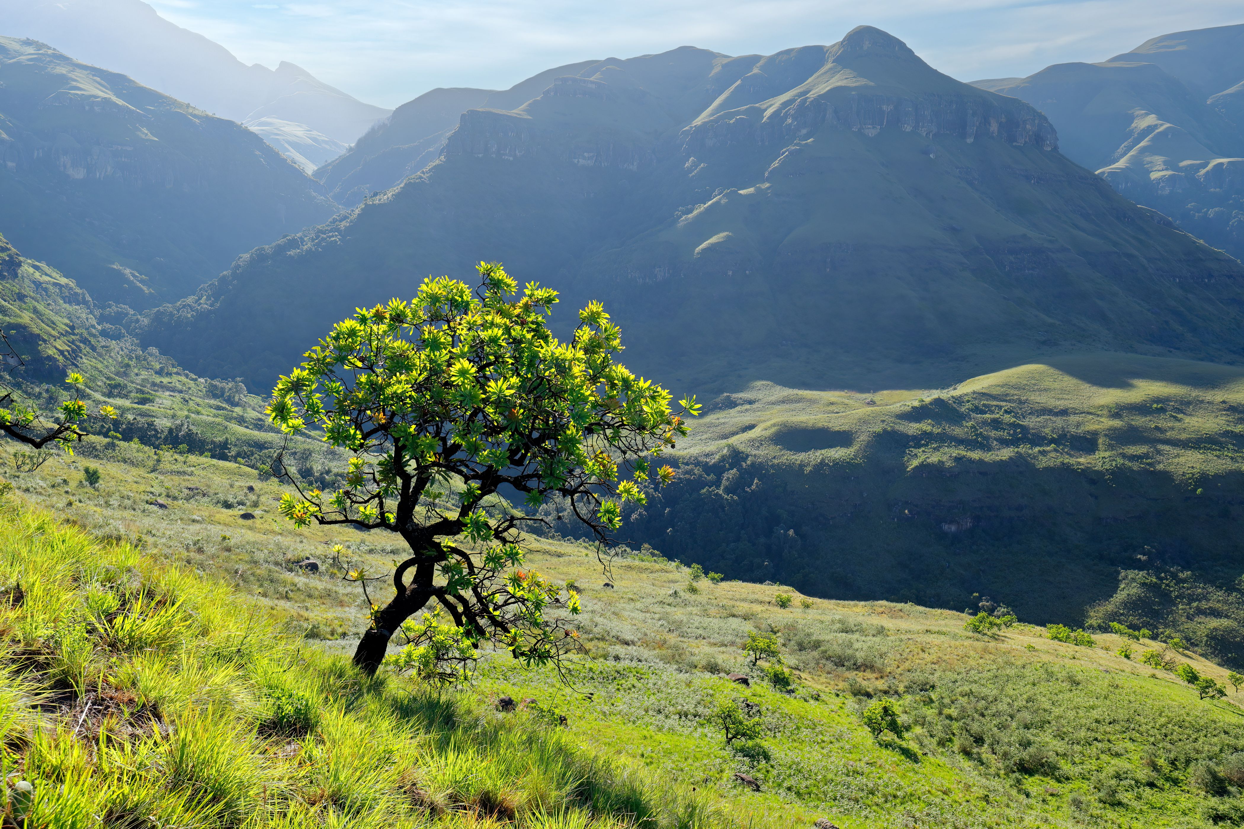 Drakensberg Mountains - Ancient San rock art and cultural sites · Challenging mountain hiking trails · Tugela Falls (948 meters) exploration