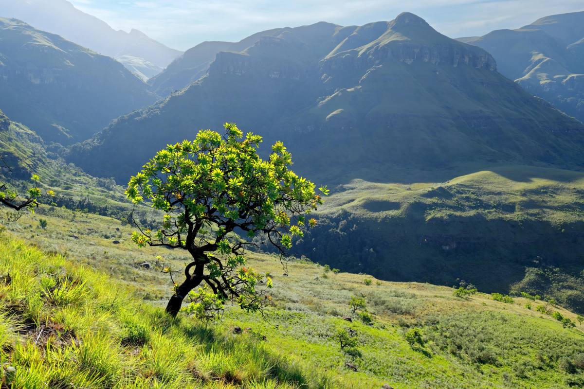 Drakensberg Mountains gallery image 1