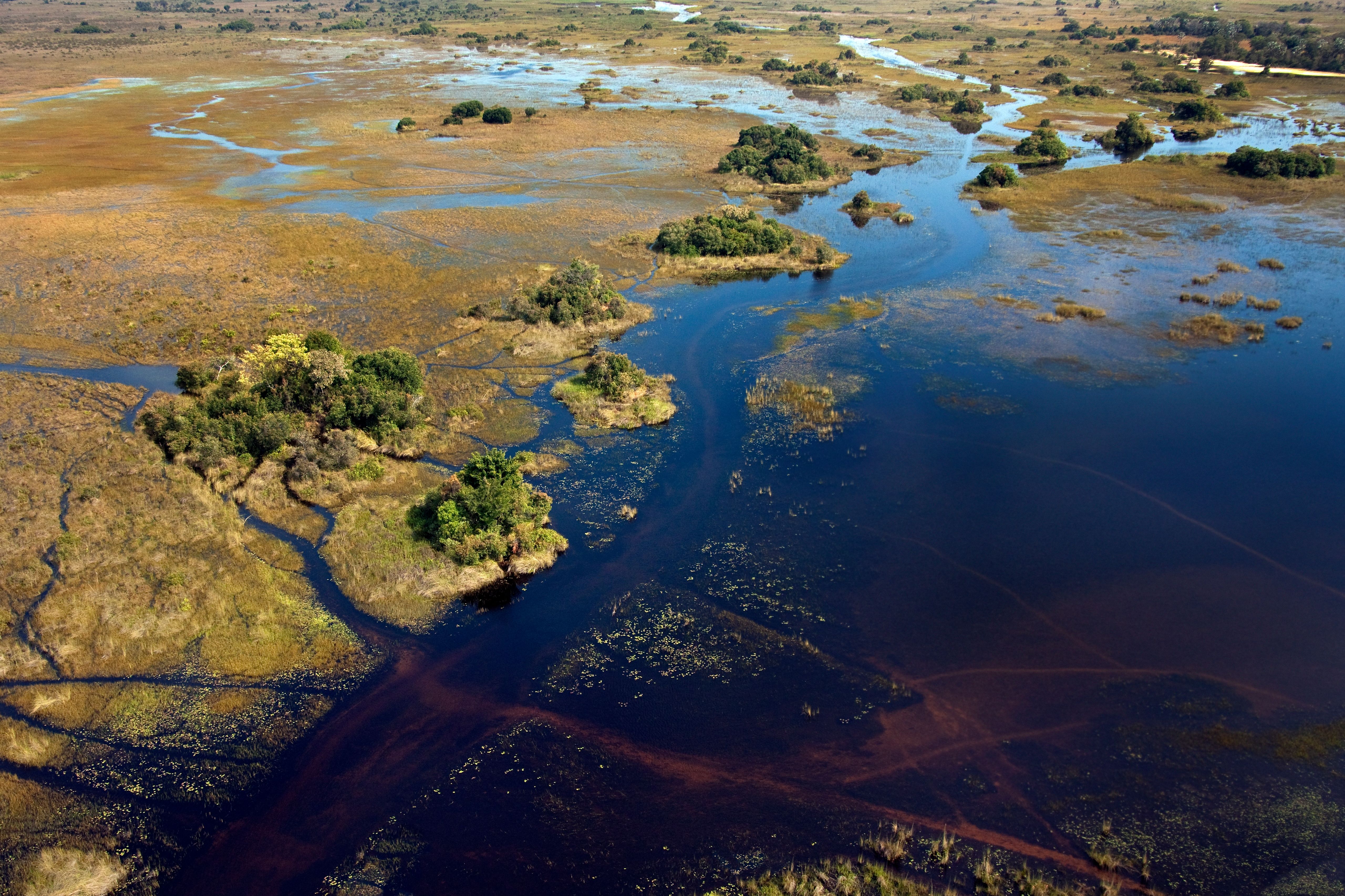 Okavango Delta - Mokoro canoe journeys through papyrus channels · Elephant herds in spectacular concentrations · Hippo and crocodile encounters