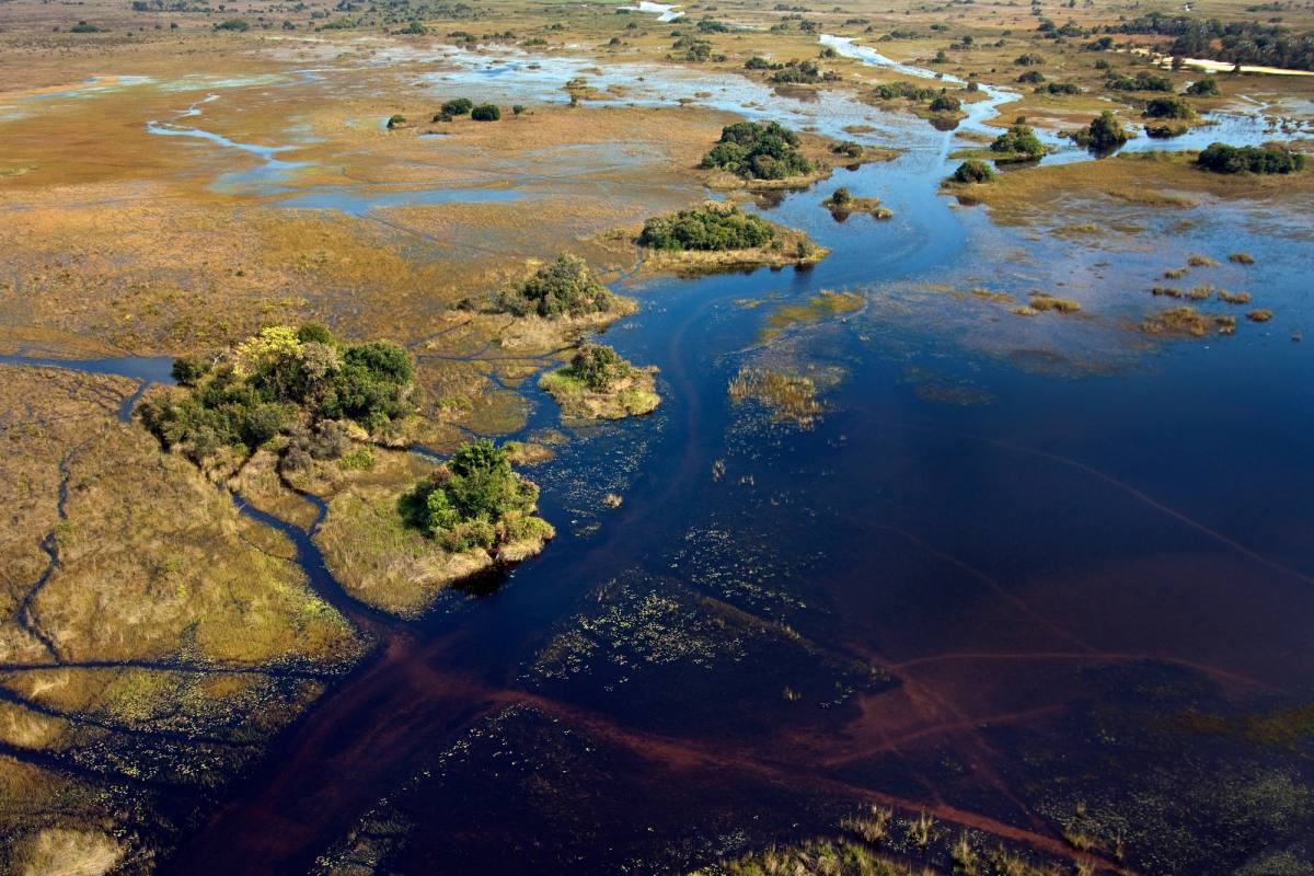 Okavango Delta gallery image 1