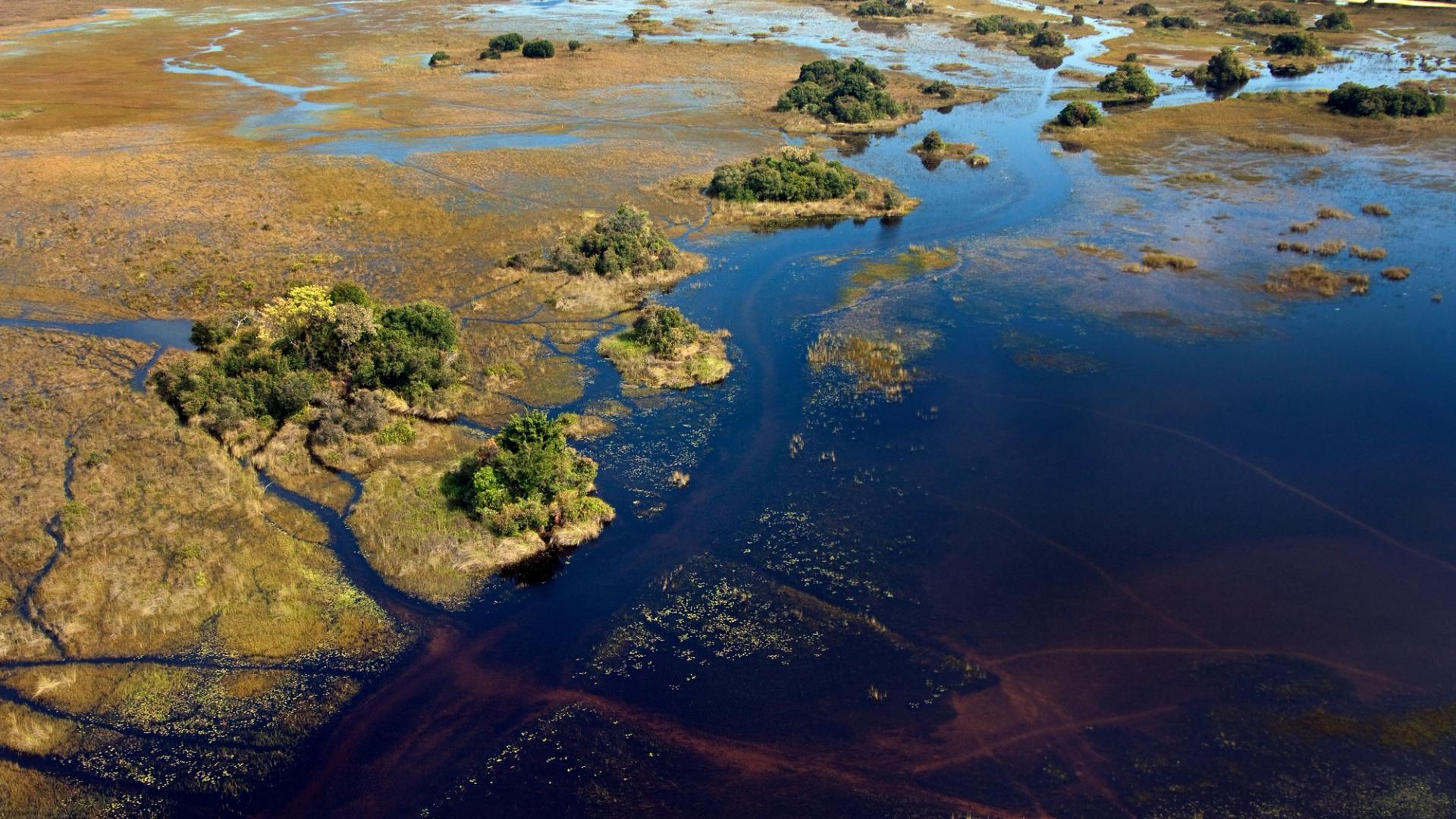Okavango Delta