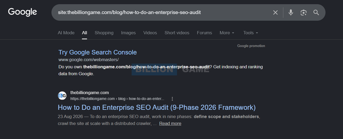 A site colon search in Google for a single blog URL, returning that page as the only result