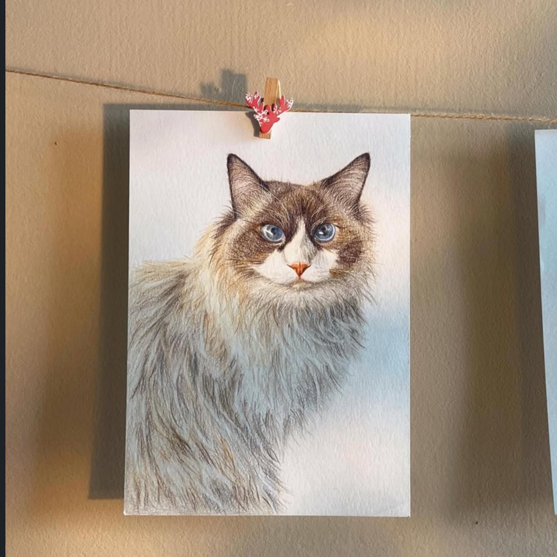 兒童進階班_9385eae1-1456-42c7-bcc2-f2569d9f2104