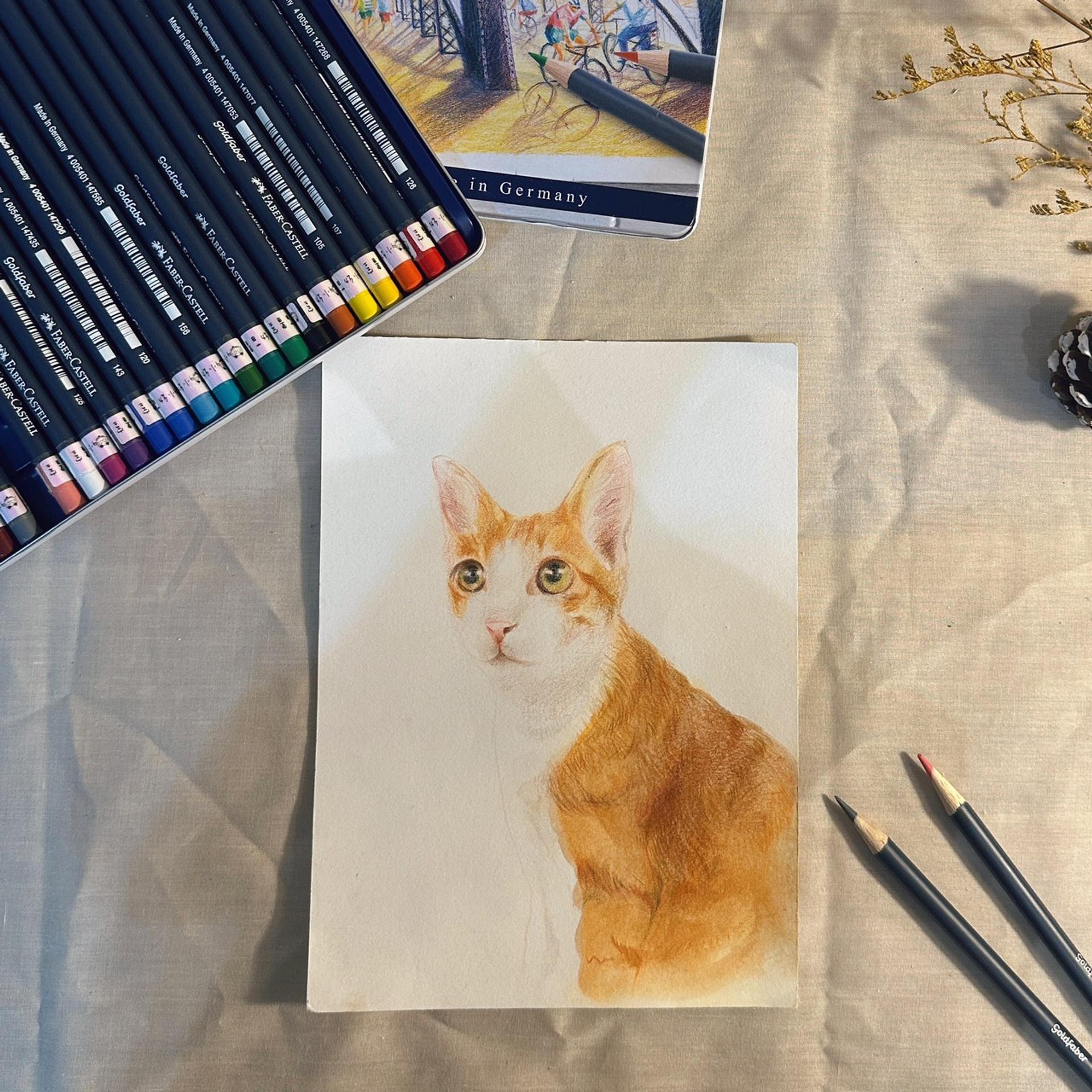 兒童進階班_9385eae1-1456-42c7-bcc2-f2569d9f2104