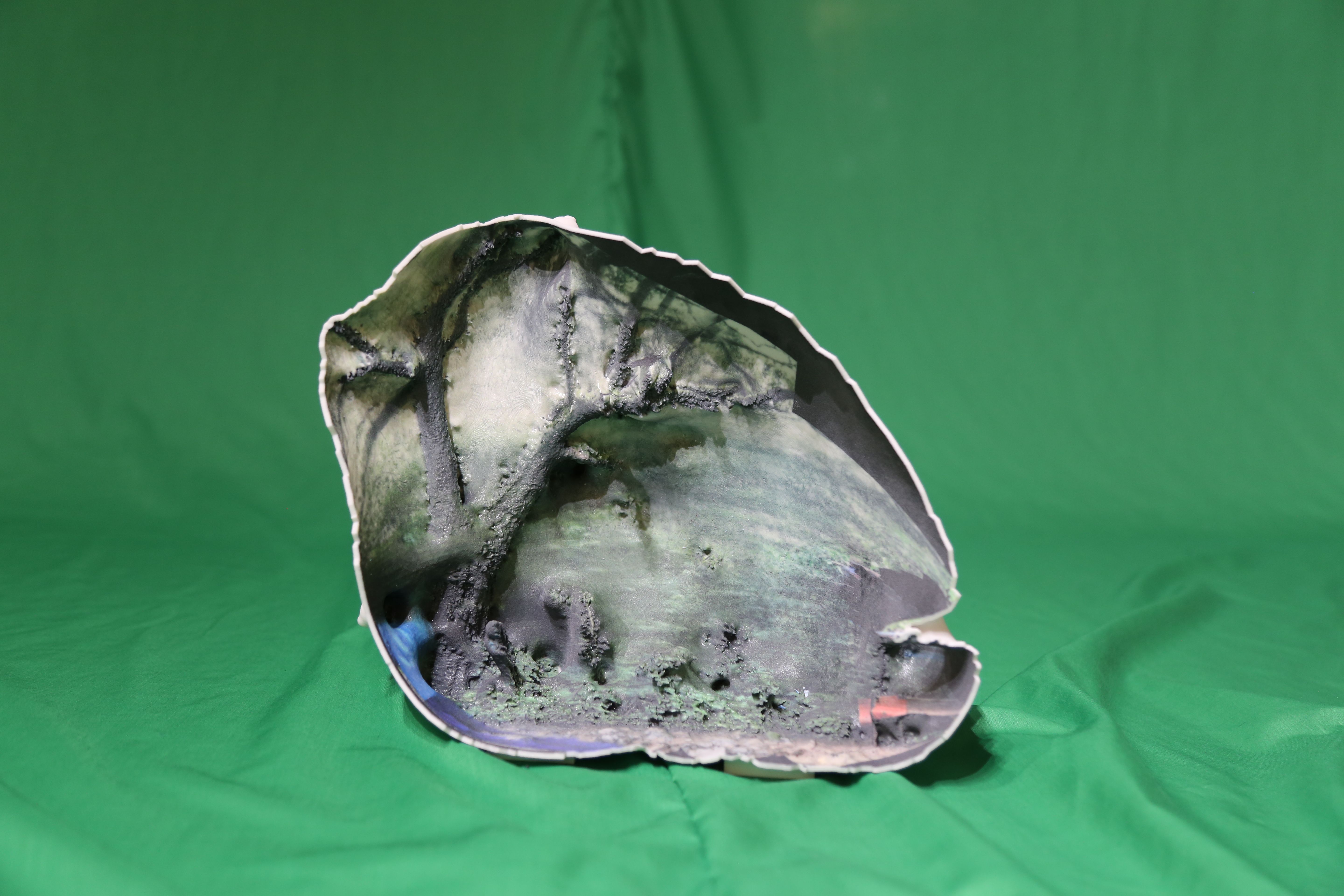 The Sacred Forests of Ethiopia