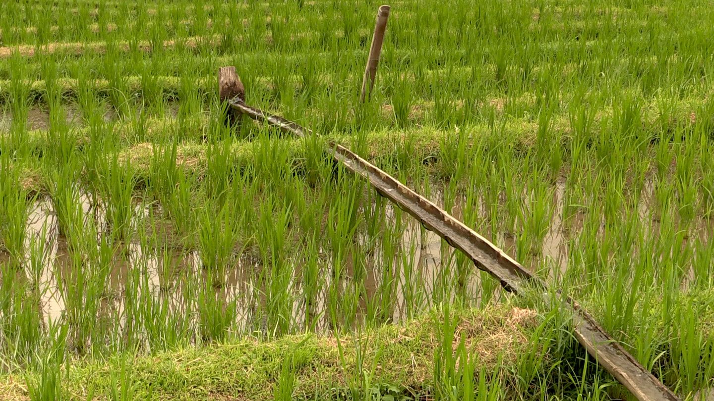 Adam Jasper: An Island Is Thinking