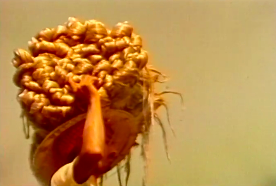 Media Habitat, c. 1975