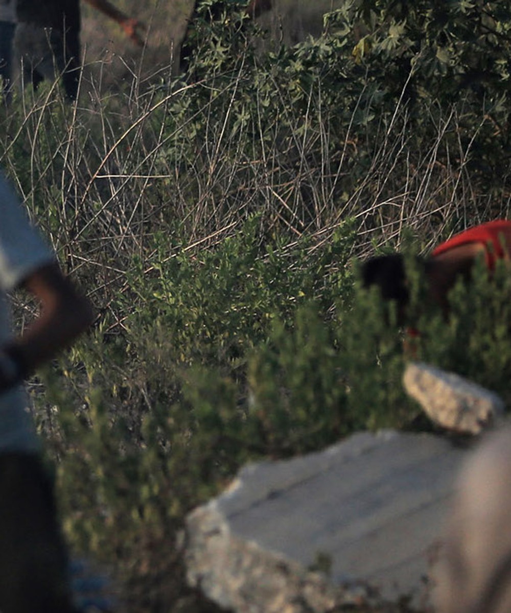 Francesco Sebregondi and Jasbir K. Puar