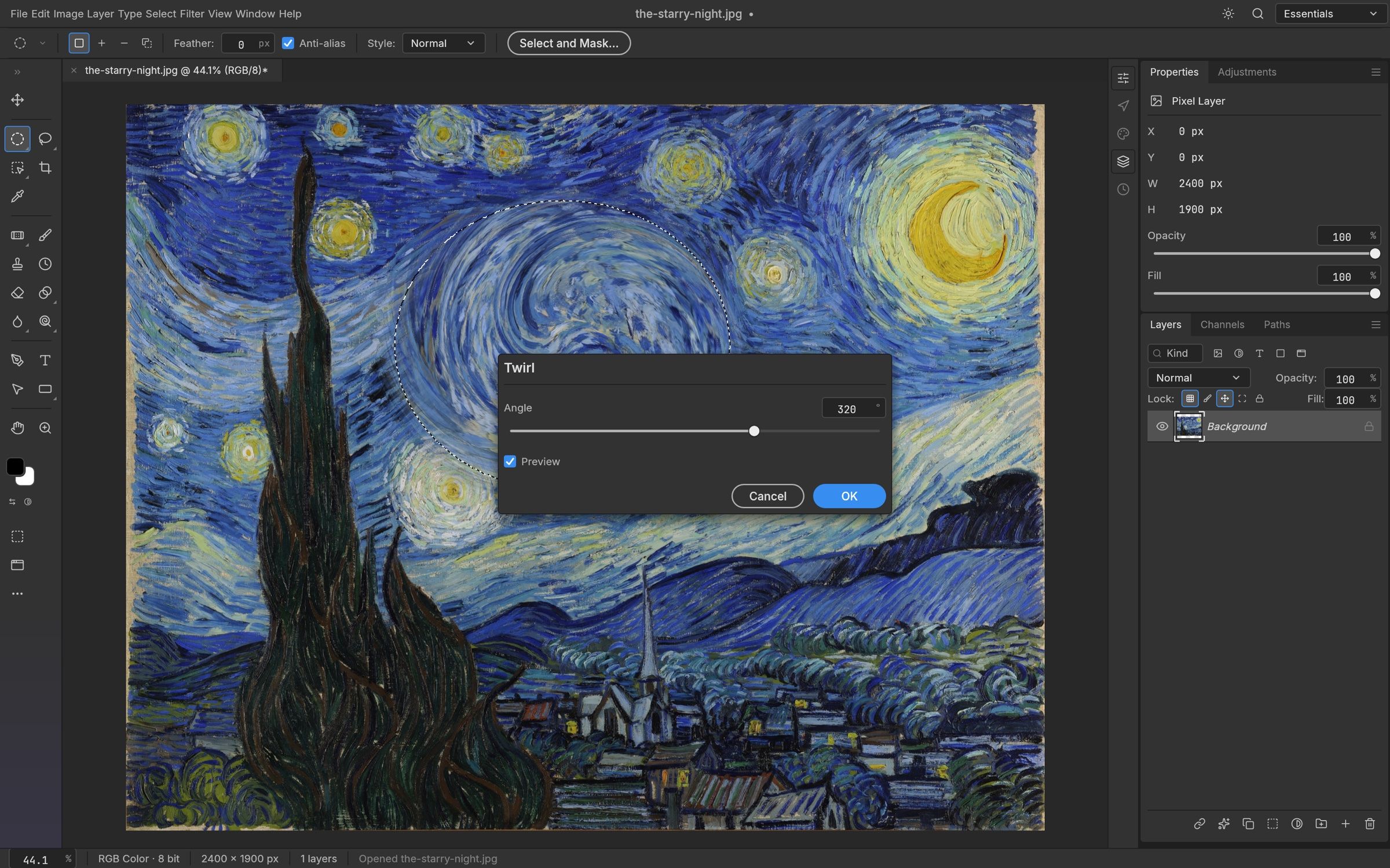PhotoCraft previewing a twirl filter inside a selection