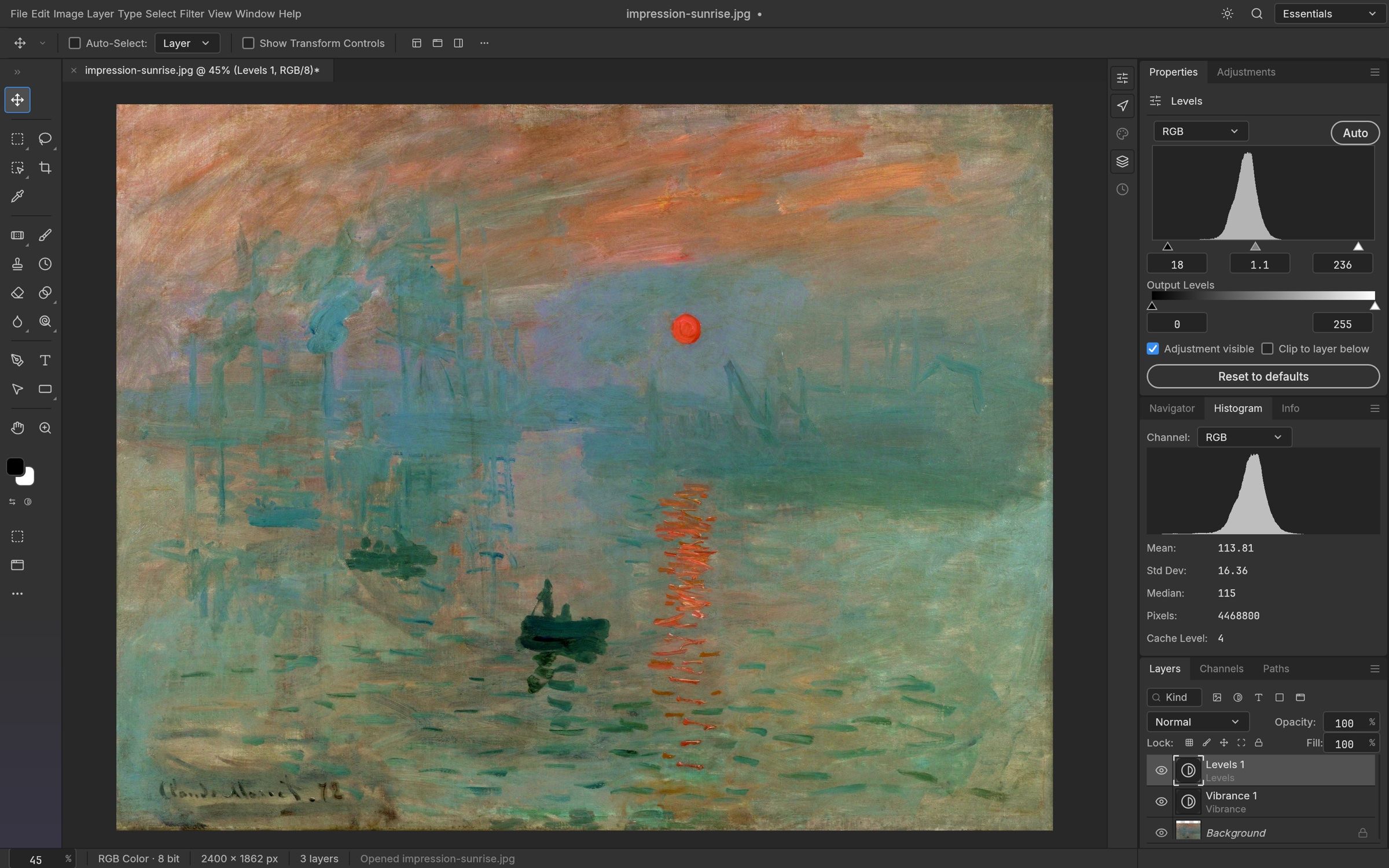 PhotoCraft showing Levels and Vibrance adjustment layers with a histogram panel