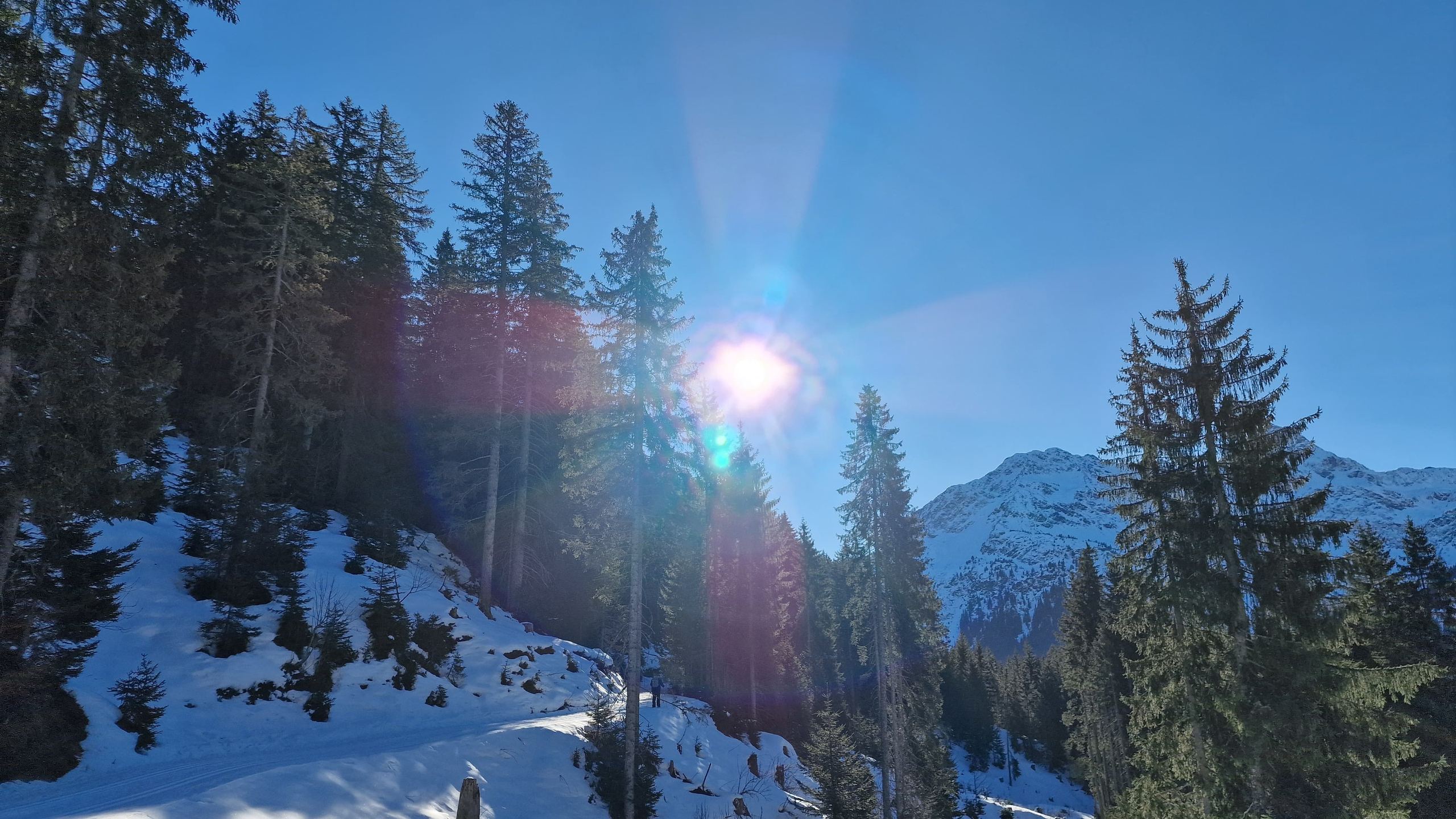 Skitour 2025, Bild 6