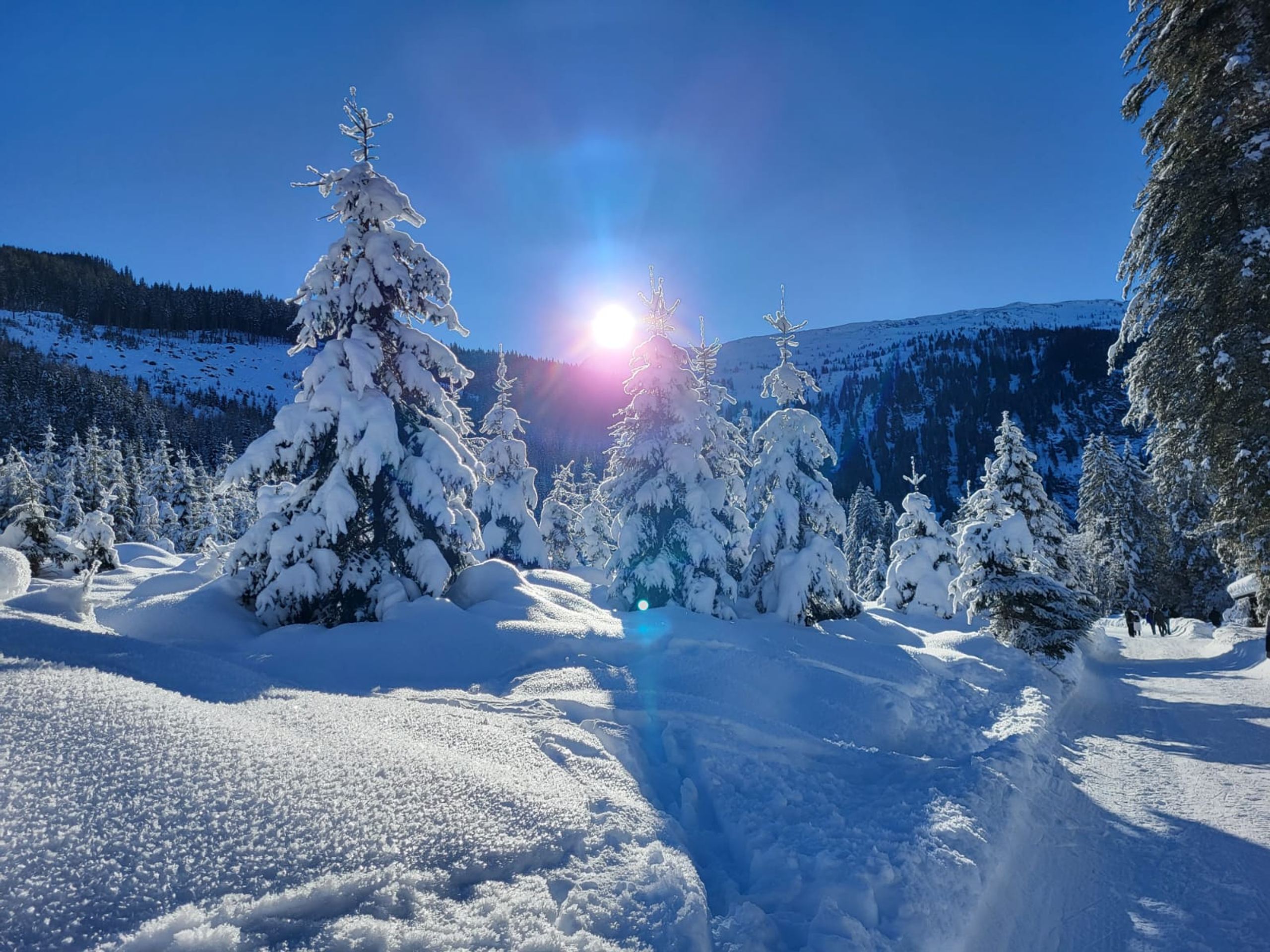 Skitour 2024, Bild 44