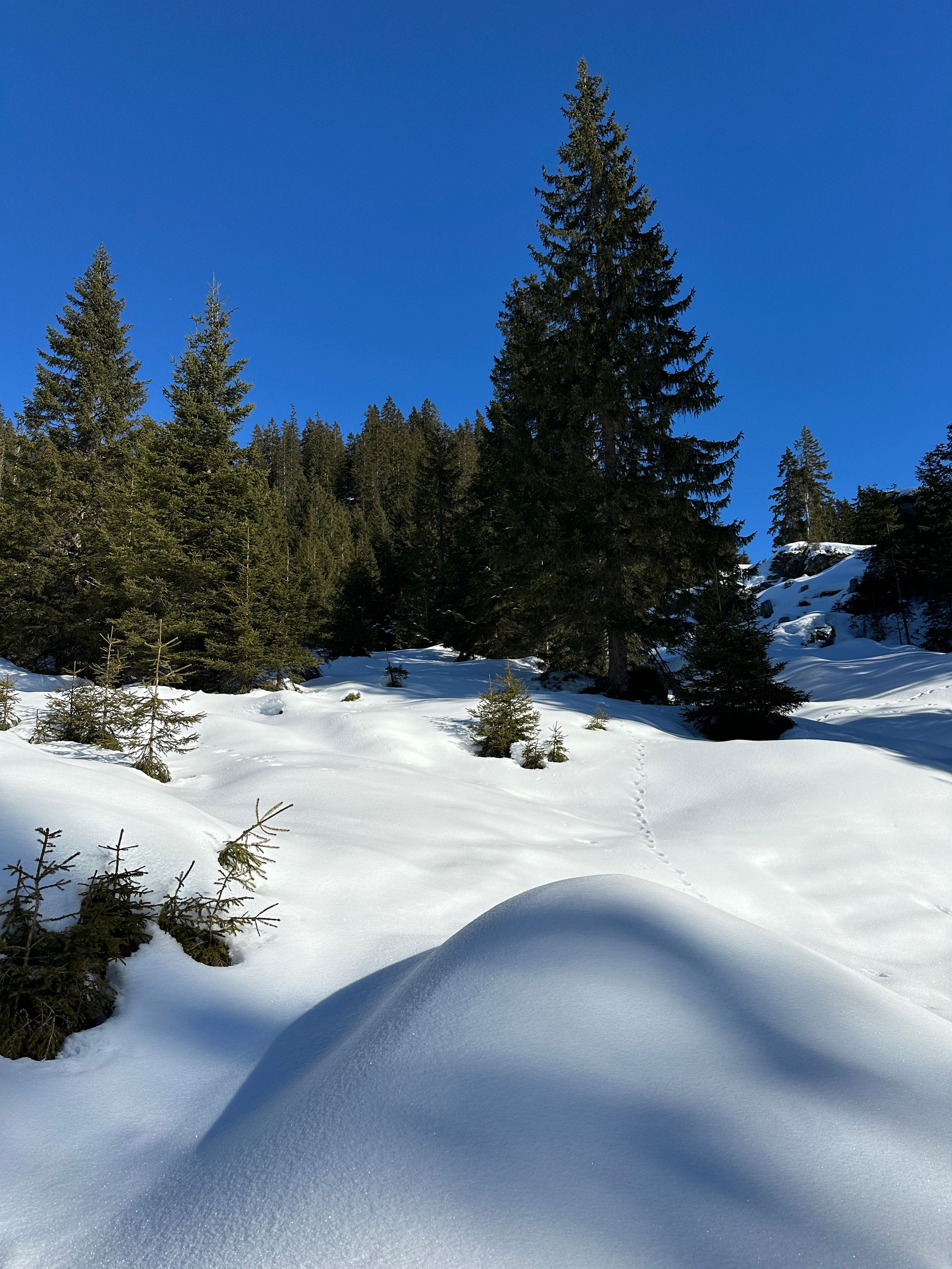Skitour 2025, Bild 26