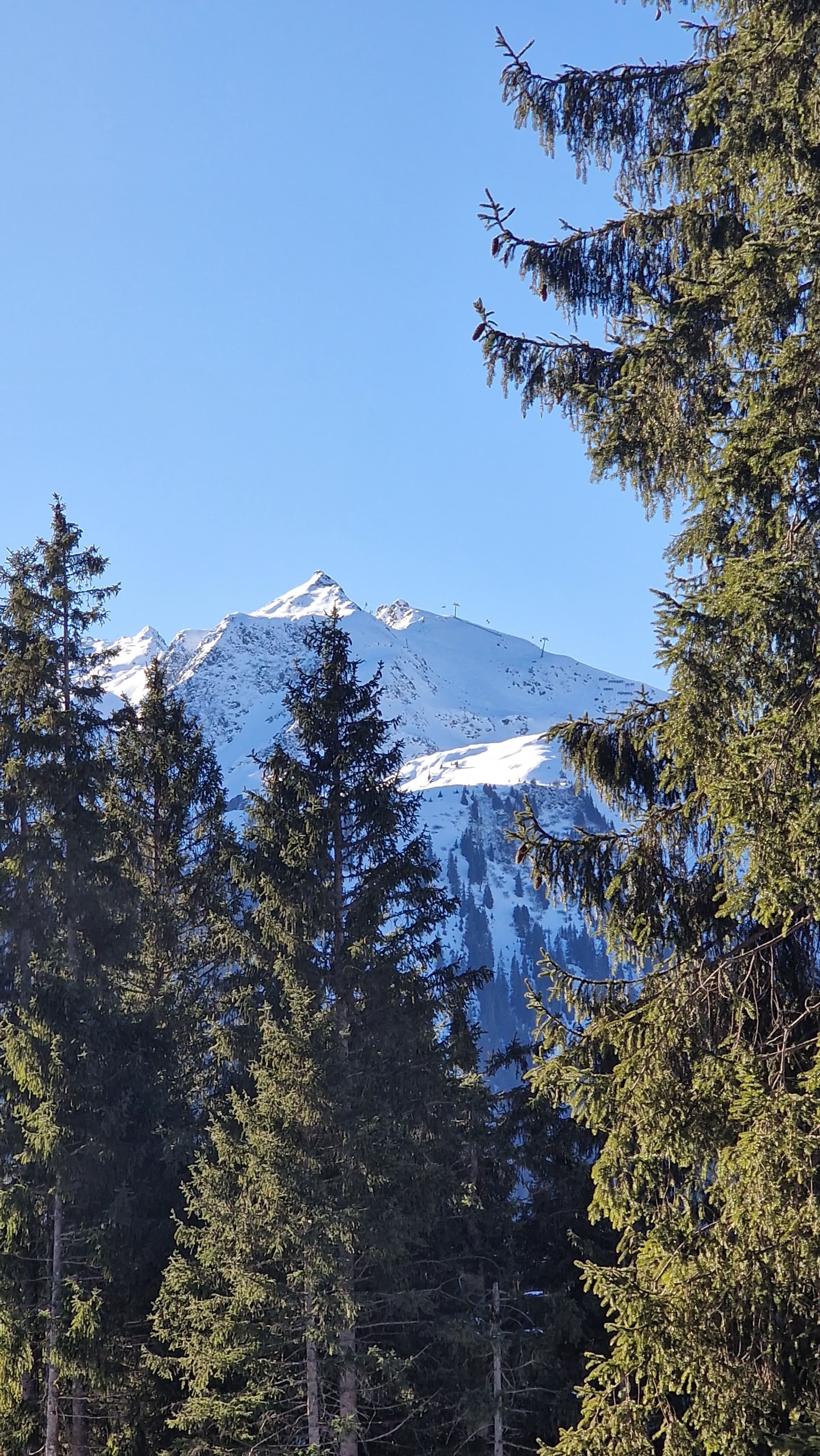 Skitour 2025, Bild 8