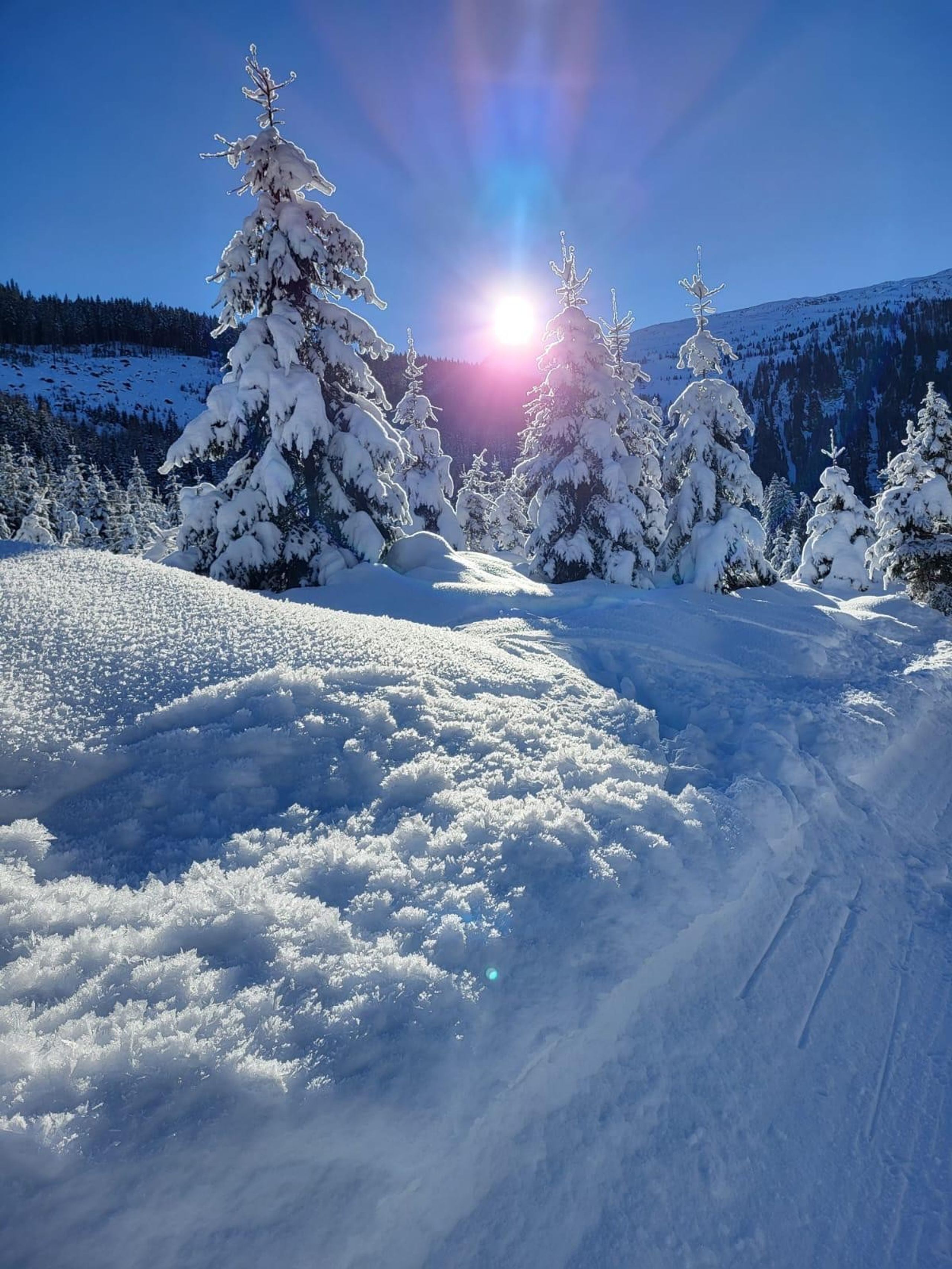 Skitour 2024, Bild 25